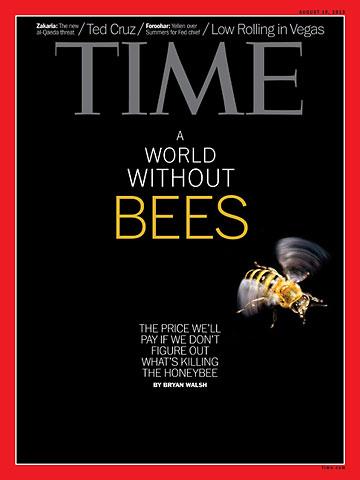 꿀벌 이 사라지면